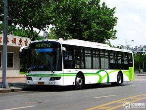 嘉兴最新公交爆料新闻,最新爆料揭示出行变革  第2张