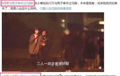 何炅绯闻爆料视频大全集,真相与谣言的交织