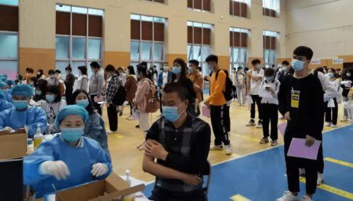 中集产城最新爆料消息,揭秘未来产业布局与创新发展  第2张